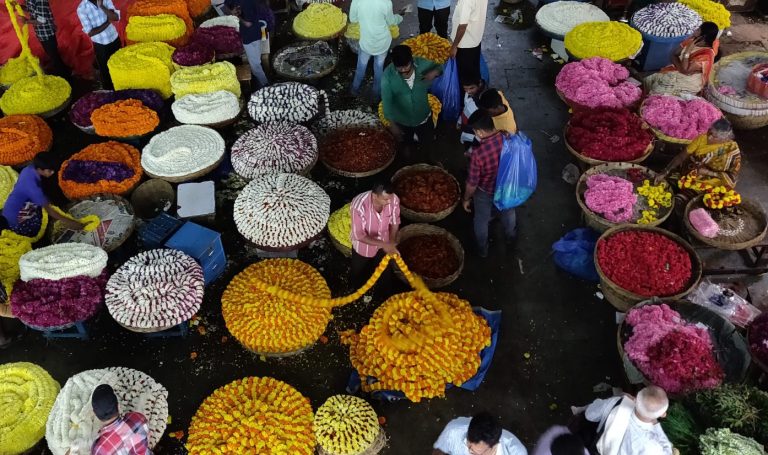 Walking tours in Bangalore